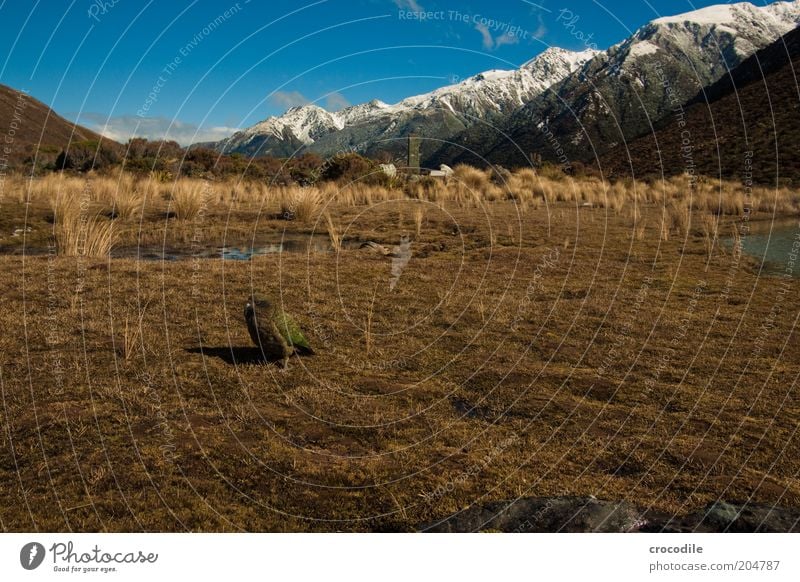 New Zealand 93 Umwelt Natur Landschaft Urelemente Himmel Schönes Wetter Alpen Berge u. Gebirge Gipfel Schneebedeckte Gipfel Insel Neuseeland außergewöhnlich