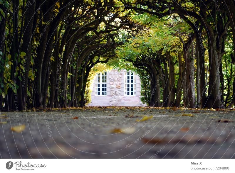 Lustgarten Garten Baum Burg oder Schloss Park Straße Wege & Pfade Märchenschloss Allee Farbfoto Außenaufnahme Menschenleer Textfreiraum unten Textfreiraum Mitte