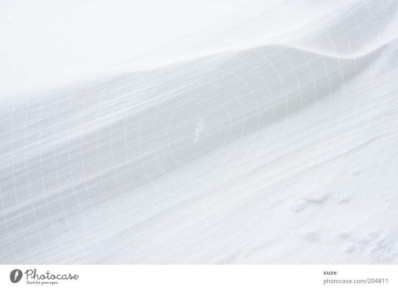 Weisheit Umwelt Natur Landschaft Urelemente Winter Klima Schnee ästhetisch einfach hell kalt weiß Einsamkeit rein Schneewehe Spuren Hintergrundbild Freiraum