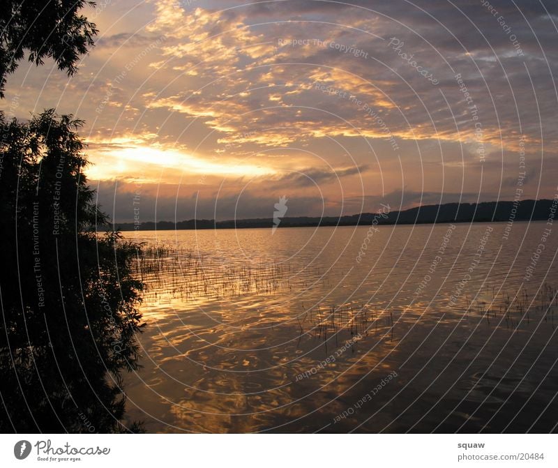 Sunrise Wolken Sonnenuntergang Wasser Elbe Natur Landschaft