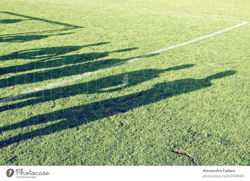 11 Freunde müßt ihr sein.... Sport Kampfsport Ballsport Sportveranstaltung Fußball Fußballplatz Mensch Freundschaft Leben 6 Menschengruppe grün Sportrasen