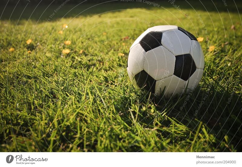 Klein, aber mächtig! Freizeit & Hobby Sport Ballsport Fußball Sportstätten Fußballplatz Gras Wiese Leder Zeichen retro gelb grün schwarz weiß Leidenschaft