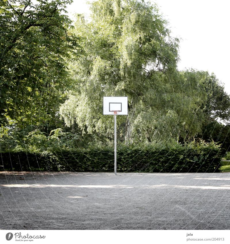 spielplatz im grünen Freizeit & Hobby Sport Basketball Basketballplatz Basketballkorb Natur Pflanze Baum Sträucher Hecke Park Platz grau weiß Farbfoto