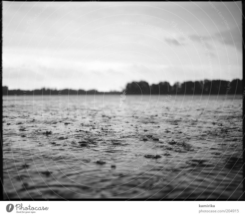 You've come a long way Natur Landschaft Wasser Wassertropfen Himmel Sommer Klima Klimawandel Wetter schlechtes Wetter Unwetter Regen Gewitter Wellen Seeufer