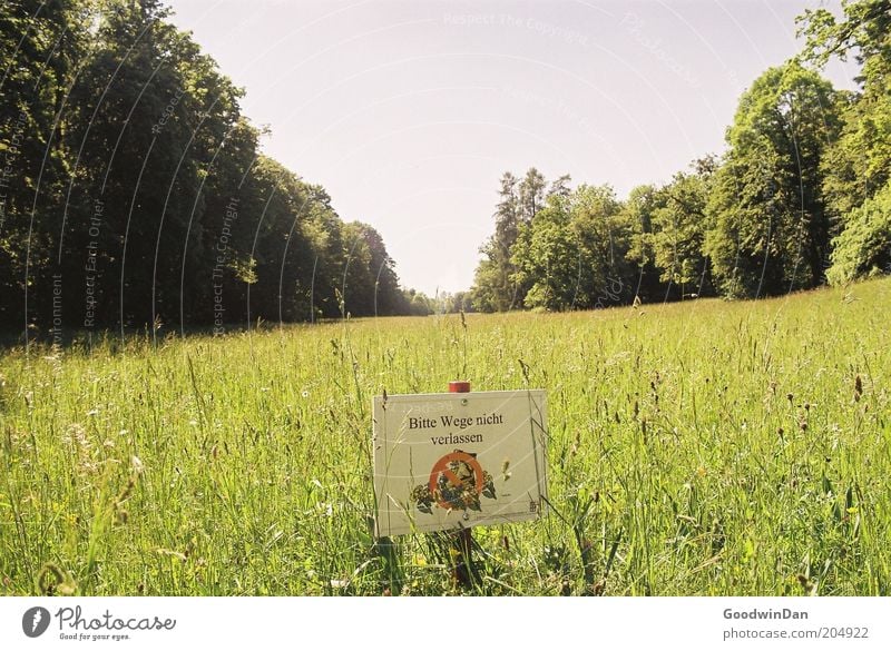 Naja, ich weiß ja nicht... Umwelt Natur Landschaft Pflanze Wetter Schönes Wetter Park Schilder & Markierungen Blick alt authentisch Ferne nah schön Wärme wild