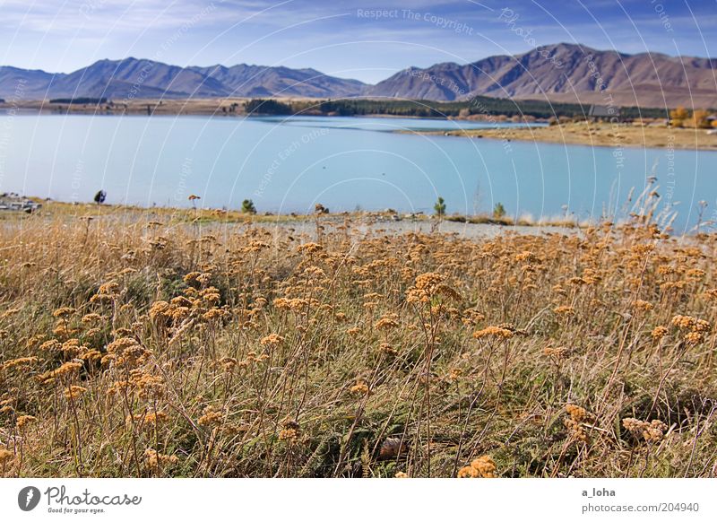 middle earth Natur Landschaft Sonne Schönes Wetter Blume Gras Berge u. Gebirge Seeufer Kirche Blühend Duft Erholung authentisch Bekanntheit historisch