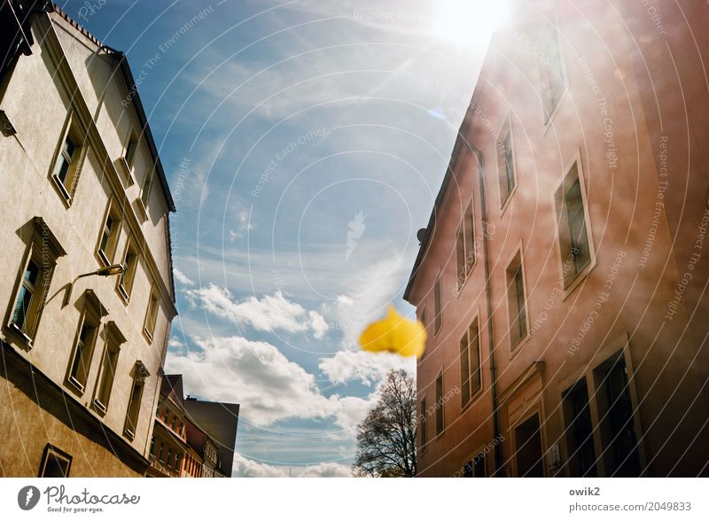 Scheibenwischerblatt Himmel Wolken Sonne Frühling Schönes Wetter Pflanze Blatt Stadt bevölkert Haus Mauer Wand Fassade Fenster Häuserzeile Straße PKW