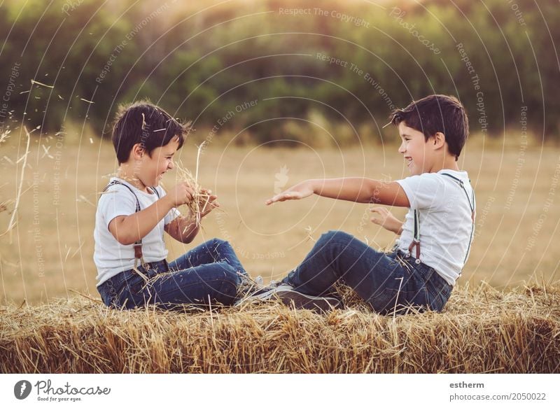 Brüder spielen mit Stroh Lifestyle Kinderspiel Mensch maskulin Kleinkind Junge Geschwister Bruder Familie & Verwandtschaft Freundschaft Kindheit 2 3-8 Jahre