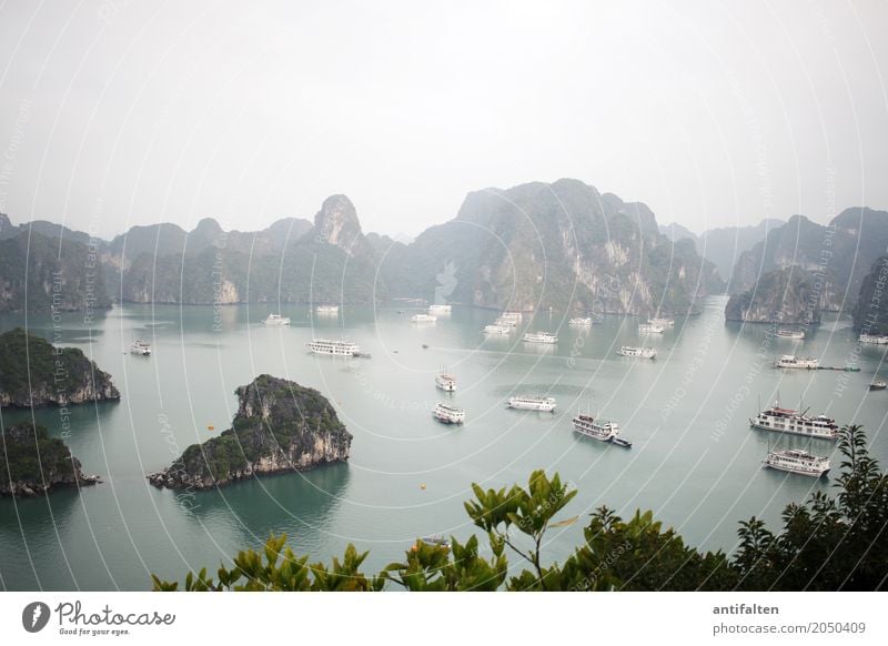 Place to be Lifestyle Ferien & Urlaub & Reisen Tourismus Sightseeing Sommerurlaub Meer Insel Halong Bay Natur Landschaft Wasser Himmel Frühling Schönes Wetter