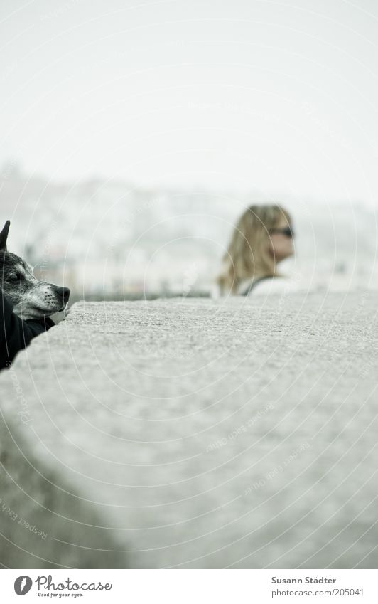 watching the sea Frau Erwachsene Kopf 1 Mensch Tier Haustier Hund Tiergesicht Blick Schnauze Ohr Spitze Steinmauer Gedeckte Farben Textfreiraum rechts