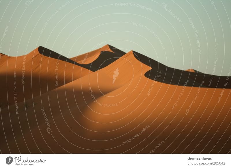 Sahara in Marokko Ferien & Urlaub & Reisen Tourismus Ausflug Umwelt Natur Landschaft Sand Himmel Sonnenaufgang Sonnenuntergang Sonnenlicht Schönes Wetter Wärme