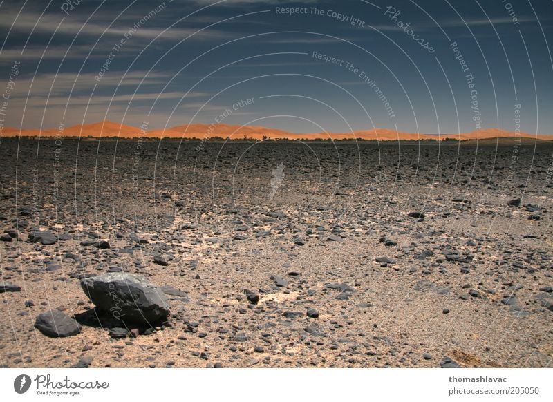 Sahara in Marokko Umwelt Natur Landschaft Sand Himmel Sonnenlicht Schönes Wetter Wärme Wüste Ferien & Urlaub & Reisen Felsen Düne Farbfoto Außenaufnahme