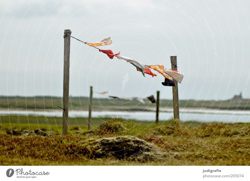 Island Umwelt Natur Landschaft Wasser Himmel Wetter Wind Gras Seeufer Bewegung hängen mehrfarbig Seil Holzpfahl Textilien Stoff Farbfoto Außenaufnahme