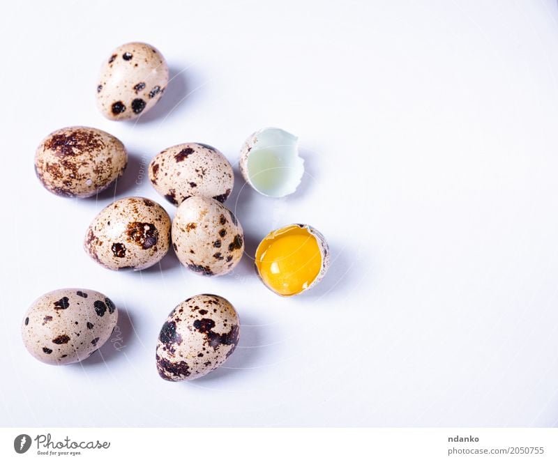 Frische Wachteleier in der Schale Essen Frühstück Diät Ostern Menschengruppe Natur frisch klein natürlich oben grau weiß Tradition Eigelb Öko organisch