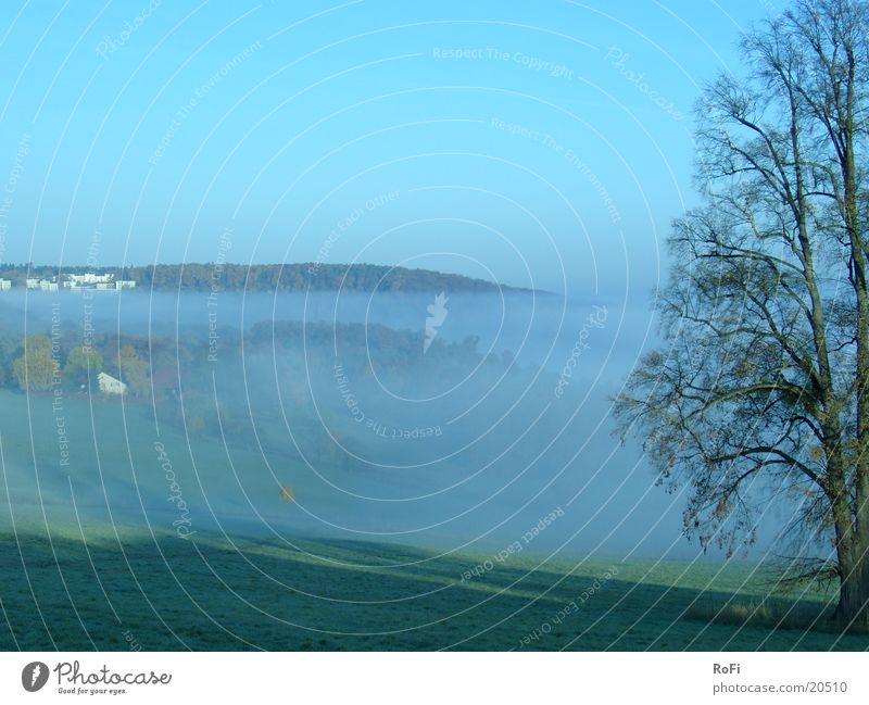 Morgennebel in Blau Nebel Hügel Baum Herbst Wiese blau