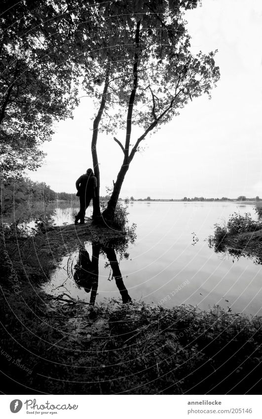 am baum lehnend den see betrachtend Freizeit & Hobby Ferien & Urlaub & Reisen Tourismus Ausflug Ferne Freiheit Mensch maskulin Mann Erwachsene 1 Umwelt Natur