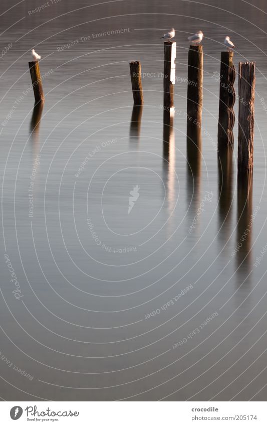 New Zealand 121 Anau Wasser See Totale Langzeitbelichtung Reflexion & Spiegelung Kontrast kalt außergewöhnlich ästhetisch Zufriedenheit warten sitzen hocken