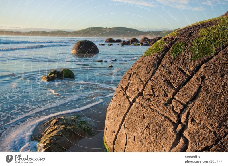 New Zealand 123 Umwelt Natur Landschaft Hügel Felsen Meer Insel alt außergewöhnlich authentisch ästhetisch boulder Farbfoto Außenaufnahme Detailaufnahme