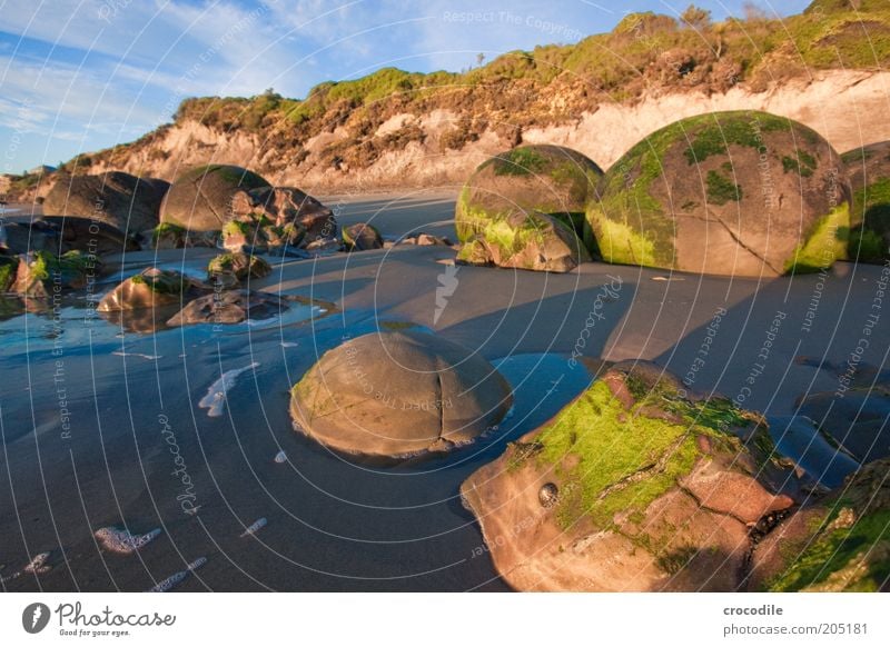 New Zealand 126 Umwelt Natur Landschaft Hügel Felsen Meer Insel alt außergewöhnlich authentisch ästhetisch bedrohlich Farbfoto Außenaufnahme Detailaufnahme