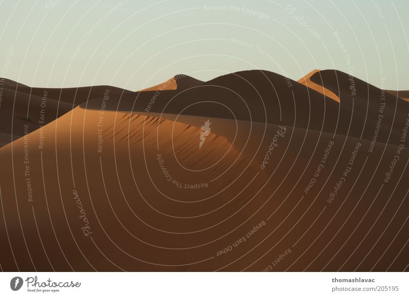 Sahara-Wüste in Marokko Ferien & Urlaub & Reisen Tourismus Ausflug Umwelt Natur Landschaft Sand Himmel Schönes Wetter Dürre Düne Farbfoto Außenaufnahme