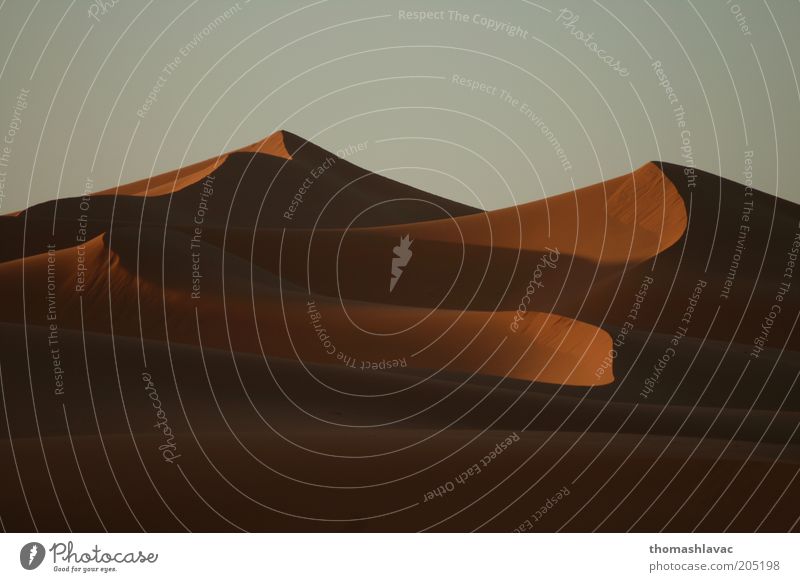 Sahara-Wüste in Marokko Umwelt Natur Landschaft Sand Himmel Schönes Wetter Dürre Ferien & Urlaub & Reisen Düne Farbfoto Außenaufnahme Menschenleer Morgen Licht