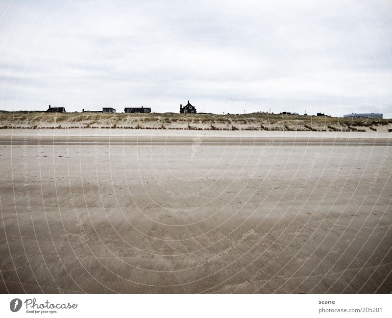 Dutch Beach Sommer Strand Meer Sand Luft Himmel Wolken Küste Nordsee Düne Niederlande Strandhaus blau braun grau weiß Natur Gedeckte Farben Außenaufnahme