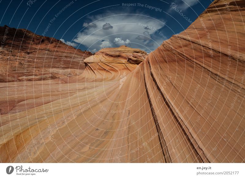 Naturkräfte Landschaft Felsen Schlucht Wüste außergewöhnlich orange bizarr einzigartig Klima Ferien & Urlaub & Reisen Surrealismus Vergänglichkeit Coyote Buttes