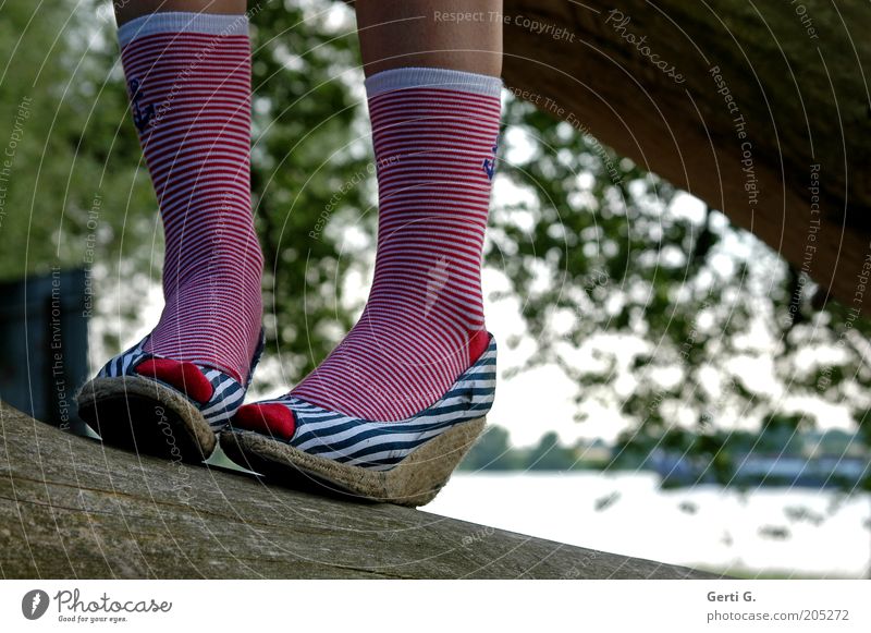 geRINGel Ringelsocken Schuhe Fuß Beine gestreift Streifen marinelook keilabsatz Strümpfe rot weiß blau Baumstamm Gleichgewicht schick Schwache Tiefenschärfe