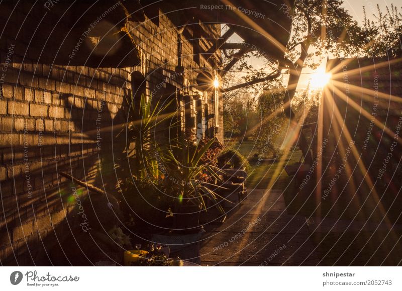 Sonnenuntergang im Spreewald Wellness Wohlgefühl Erholung ruhig Kur Ferien & Urlaub & Reisen Tourismus Ausflug Freiheit Sommerurlaub Umwelt Natur Landschaft