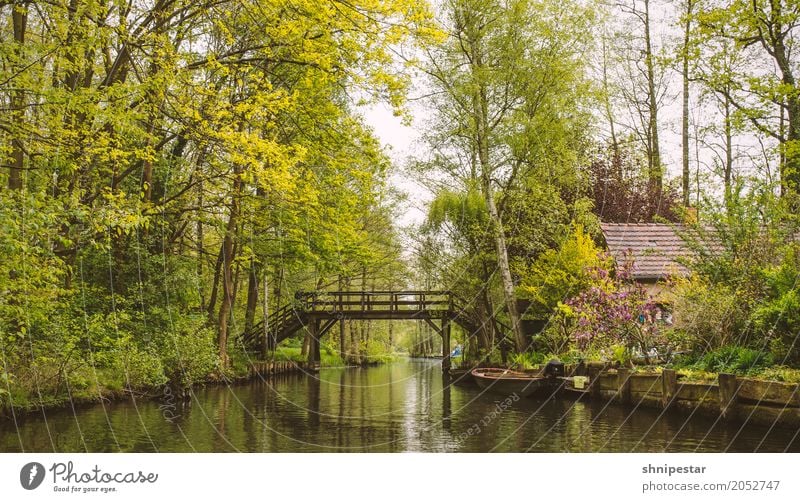 Kahnfahrt im Spreewald Freizeit & Hobby Angeln Ferien & Urlaub & Reisen Tourismus Ausflug Ferne Sommer wandern Umwelt Natur Landschaft Pflanze Urelemente Wasser