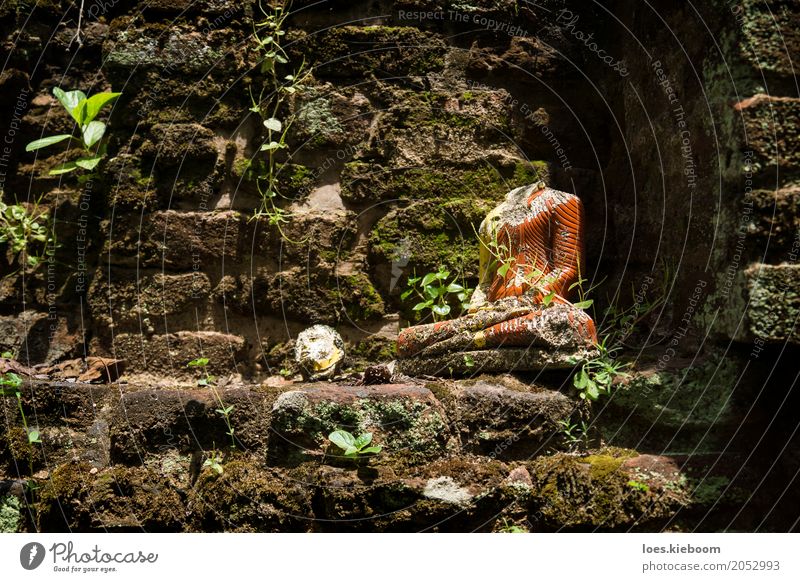 Beheaded Buddha Ferien & Urlaub & Reisen Frieden Religion & Glaube Sri Lanka Asien Island Buddhism Anuradhapura Nakha Vihara hidden temple jungle bricks leaves