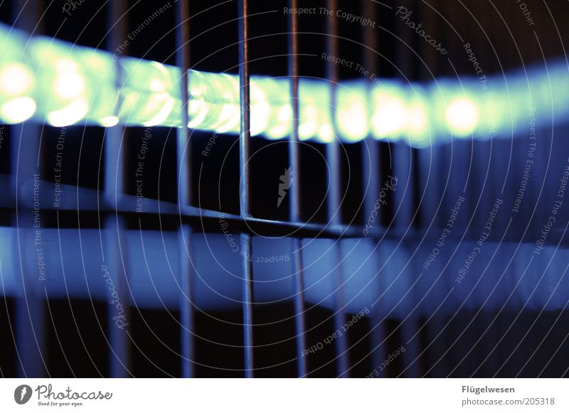 Katy Karrenbauer lebt hinter Gittern Bauzaun gefangen Zaun Lichtschlauch Lichterkette hell leuchten Farbfoto Außenaufnahme Nacht Lichterscheinung Drahtzaun