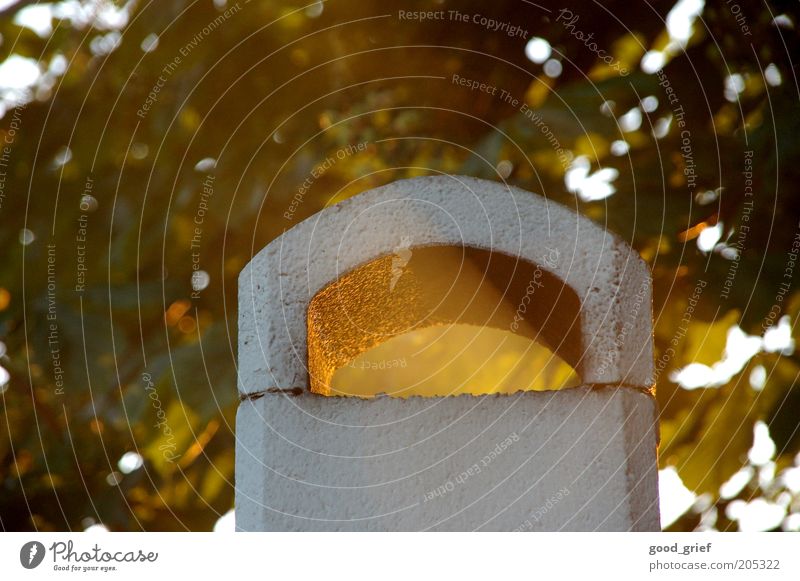 die saison ist eröffnet Bauwerk Schornstein Rauch Farbfoto mehrfarbig Außenaufnahme Menschenleer Tag Abend Dämmerung Licht Schatten Sonnenlicht Sonnenstrahlen