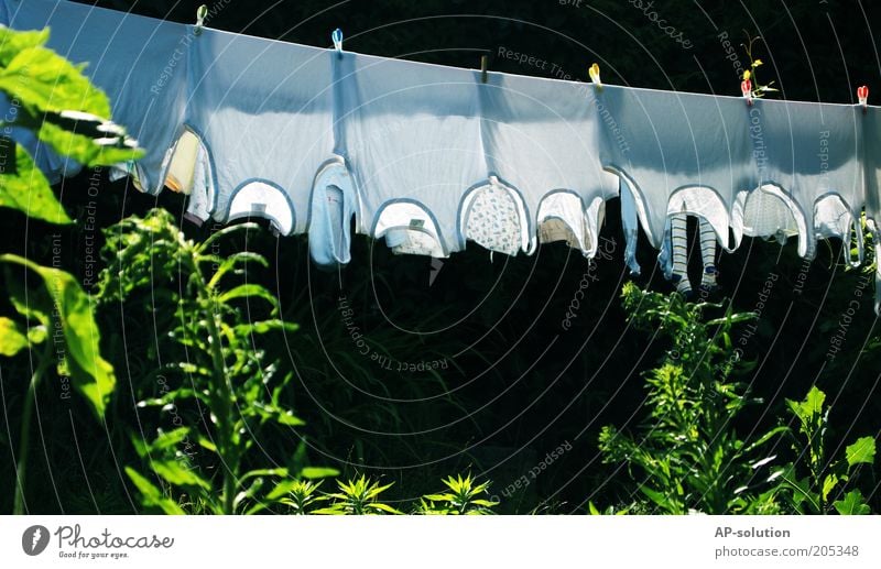 Waschtag Häusliches Leben Garten Bekleidung Unterwäsche Stoff Unterhemd nass grün weiß Wäsche Wäsche waschen trocknen aufhängen Wäscheleine Wäscheklammern