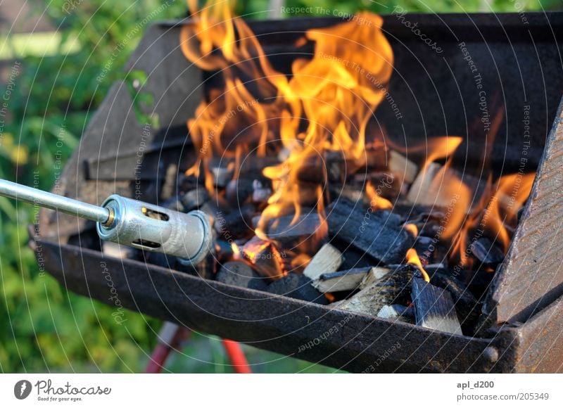 burn m********** burn Freizeit & Hobby Grill Grillen Grillkohle Umwelt Natur Feuer authentisch Kohle Grillanzünder Bunsenbrenner Farbfoto mehrfarbig