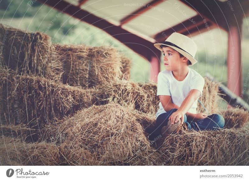 Nachdenklicher Junge Ferien & Urlaub & Reisen Freiheit Mensch feminin Kind Kleinkind Kindheit 1 3-8 Jahre Natur Frühling Wiese Feld träumen Traurigkeit Gefühle