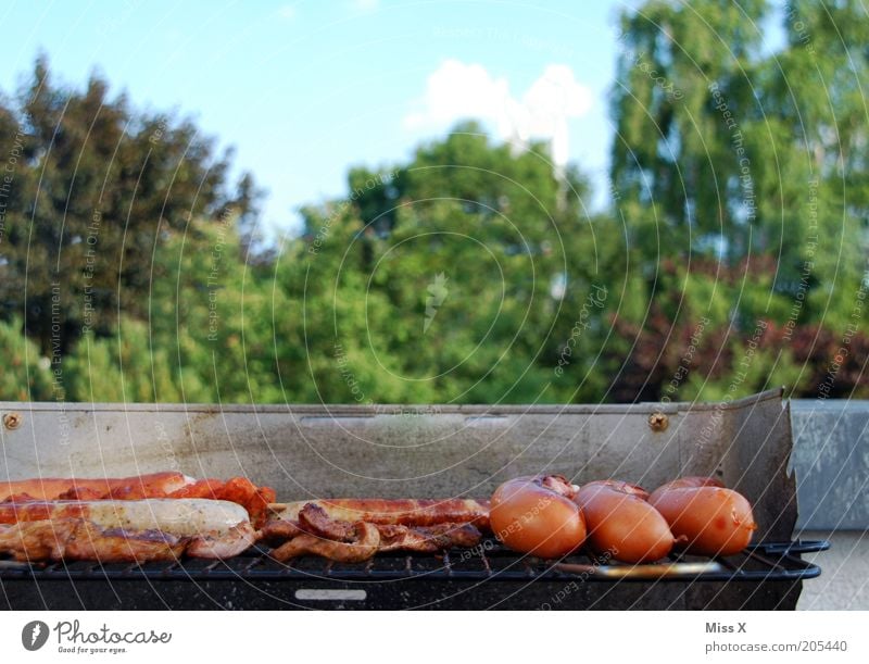 Grill im Grünen Lebensmittel Fleisch Wurstwaren Ernährung Abendessen Picknick Camping Garten Park heiß lecker Grillen Bratwurst Steak Fleischgerichte Farbfoto