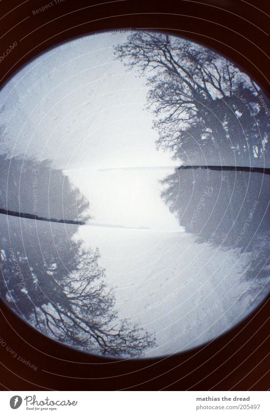 VERDREHT Umwelt Natur Pflanze Himmel Winter Klima schlechtes Wetter Nebel Schnee Wald außergewöhnlich dunkel kalt Doppelbelichtung rund Fußweg verkehrt Farbfoto