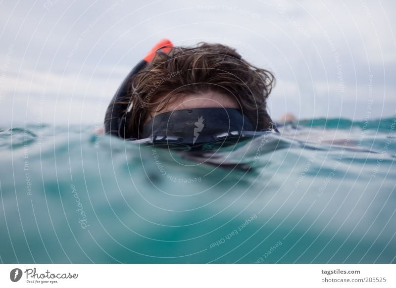 ICH SEHE WAS, WAS DU NICHT SIEHST tauchen Schnorcheln Kopf unten Wasser Meer verstecken Taucherbrille Ferien & Urlaub & Reisen Tauchgerät Farbfoto