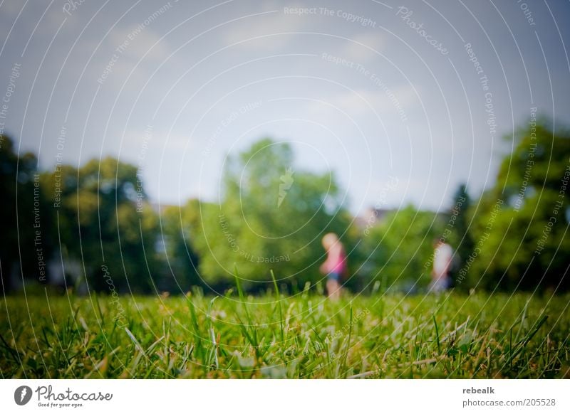 Platzsuche Sommer Paar 2 Mensch Natur Landschaft Schönes Wetter Gras Park Wiese grün Außenaufnahme Textfreiraum oben Unschärfe Weitwinkel Grasnarbe Rasen