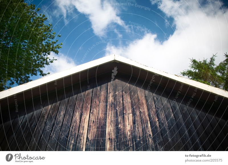 Schwedische Gardine Ferien & Urlaub & Reisen Sommerurlaub Himmel Wolken Schönes Wetter Pflanze Baum Schrebergarten Haus Bauwerk Fassade Dach Dachgiebel