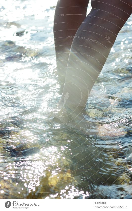 wasser Wasser Ferien & Urlaub & Reisen Beine Gegenlicht Sonne Sonnenlicht Reflexion & Spiegelung Bach See Schwimmen & Baden Mensch Frau Sommer Wasseroberfläche