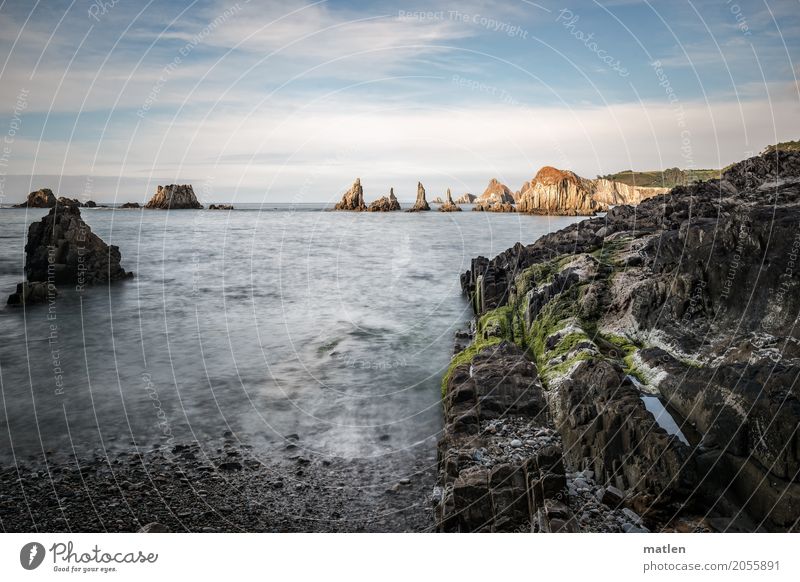 aber zackig Natur Landschaft Wasser Himmel Wolken Horizont Sonnenaufgang Sonnenuntergang Wetter Schönes Wetter Gras Felsen Wellen Küste Strand Bucht Riff Meer