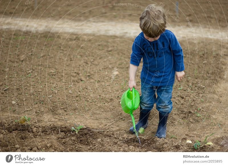 kind gießt mit einer gießkanne Mensch maskulin Kind Kleinkind Junge 1 1-3 Jahre Umwelt Natur Feld Jeanshose Gummistiefel Arbeit & Erwerbstätigkeit authentisch