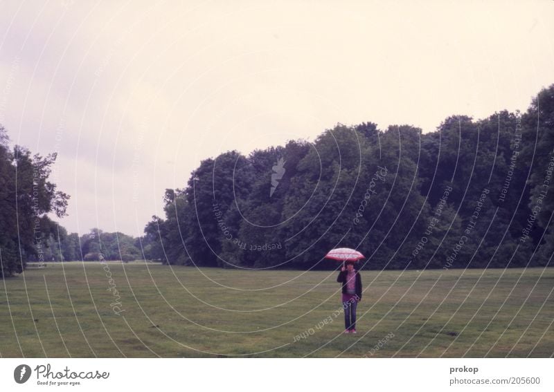 Last man standing Mensch Frau Erwachsene 1 Umwelt Natur Landschaft Pflanze Wolken Park Wiese Wald Regenschirm stehen warten Einsamkeit Horizont einzigartig