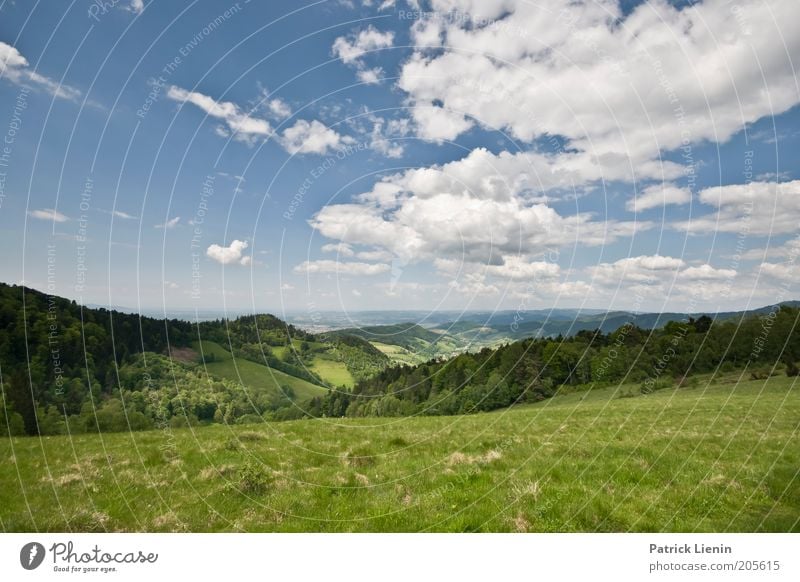 Wanderlust Umwelt Natur Landschaft Pflanze Erde Luft Himmel Wolken Sonne Sommer Klima Wetter Schönes Wetter Baum Wald Hügel Berge u. Gebirge Schwarzwald Tal