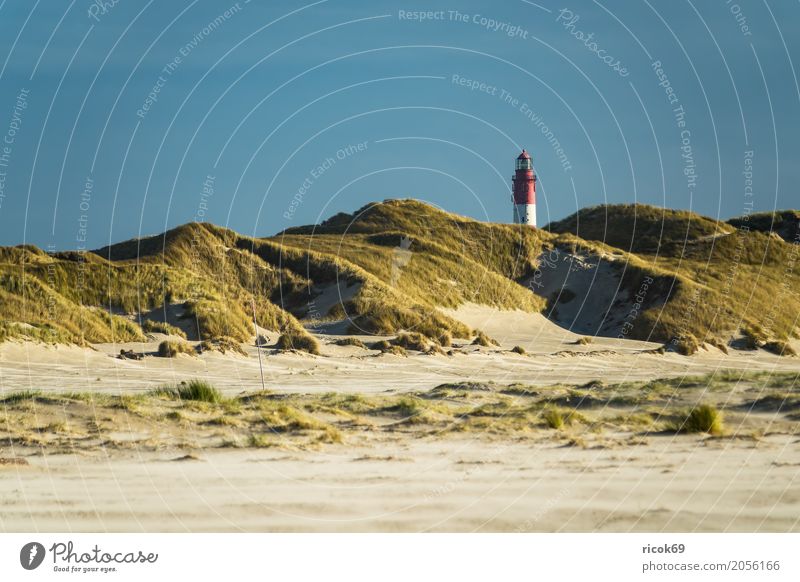 Landschaft in den Dünen auf der Insel Amrum Erholung Ferien & Urlaub & Reisen Tourismus Natur Wolken Herbst Küste Nordsee Leuchtturm Sehenswürdigkeit