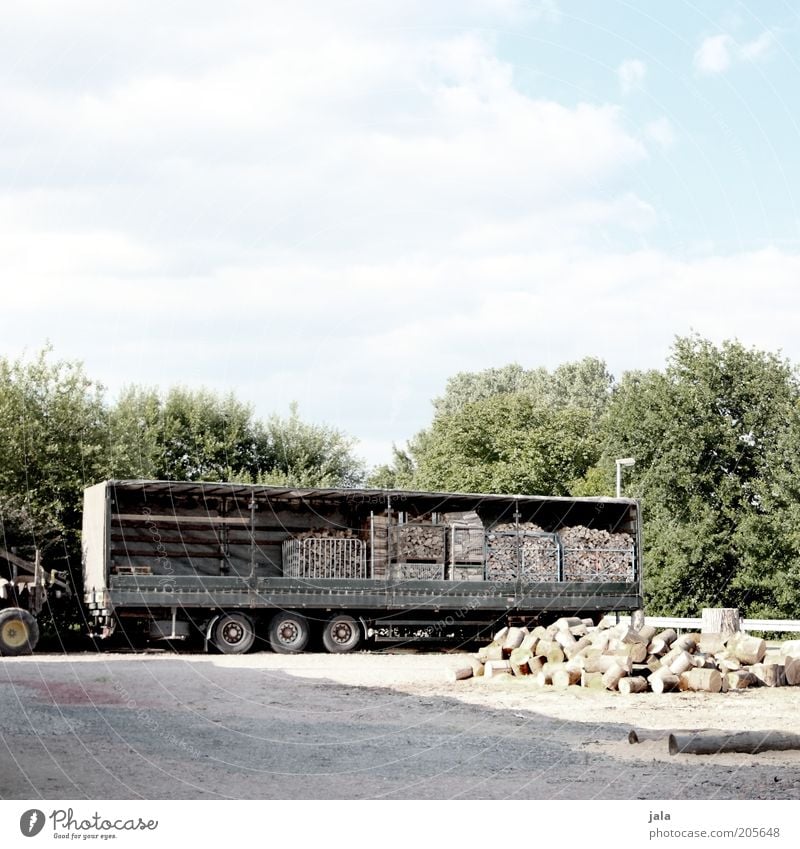 der nächste winter kommt bestimmt... Himmel Wolken Pflanze Baum Platz Lastwagen Anhänger Holz Brennholz Vorbereitung Farbfoto Außenaufnahme Menschenleer