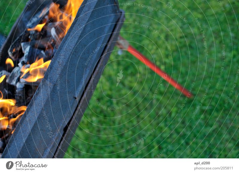 Auch ein schöner Rücken Freizeit & Hobby Grill Grillen Grillgut Grillkohle authentisch gelb rot schwarz Gras Kohle Feuer brennen Farbfoto mehrfarbig