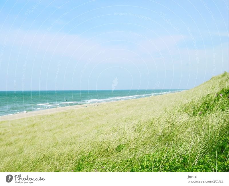 sylt-strand Sylt Meer Strand Stranddüne